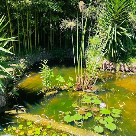 Alle Rane - Lake, Beaches And Art In Tuscany